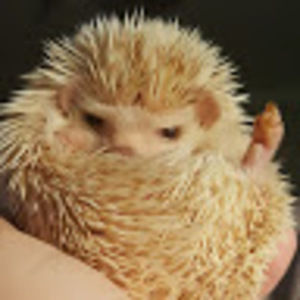 Meet your Posher, Kelly